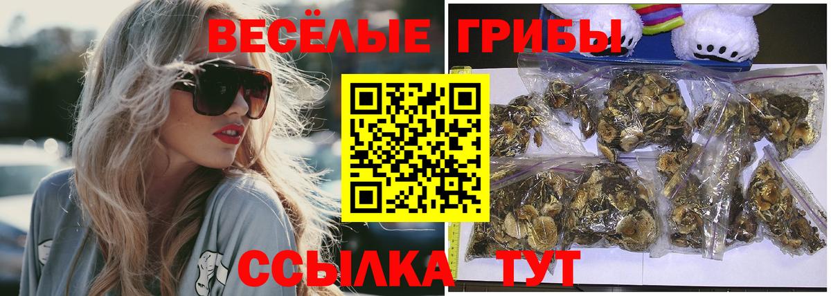 Псилоцибиновые грибы ЛСД Реутов